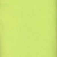 Snuggle Flannel Celery