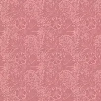 Checkers Cotton Marigold - Rose