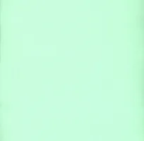 Snuggle Flannel Mint