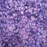 Fancy Foliage Purple Passion 108"
