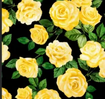 BLK FLOWERS OF FRIENDSHIP ROSES 1