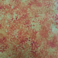 Confetti Pumpkin 108"