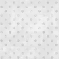 WP Dry Brush Dots Silver