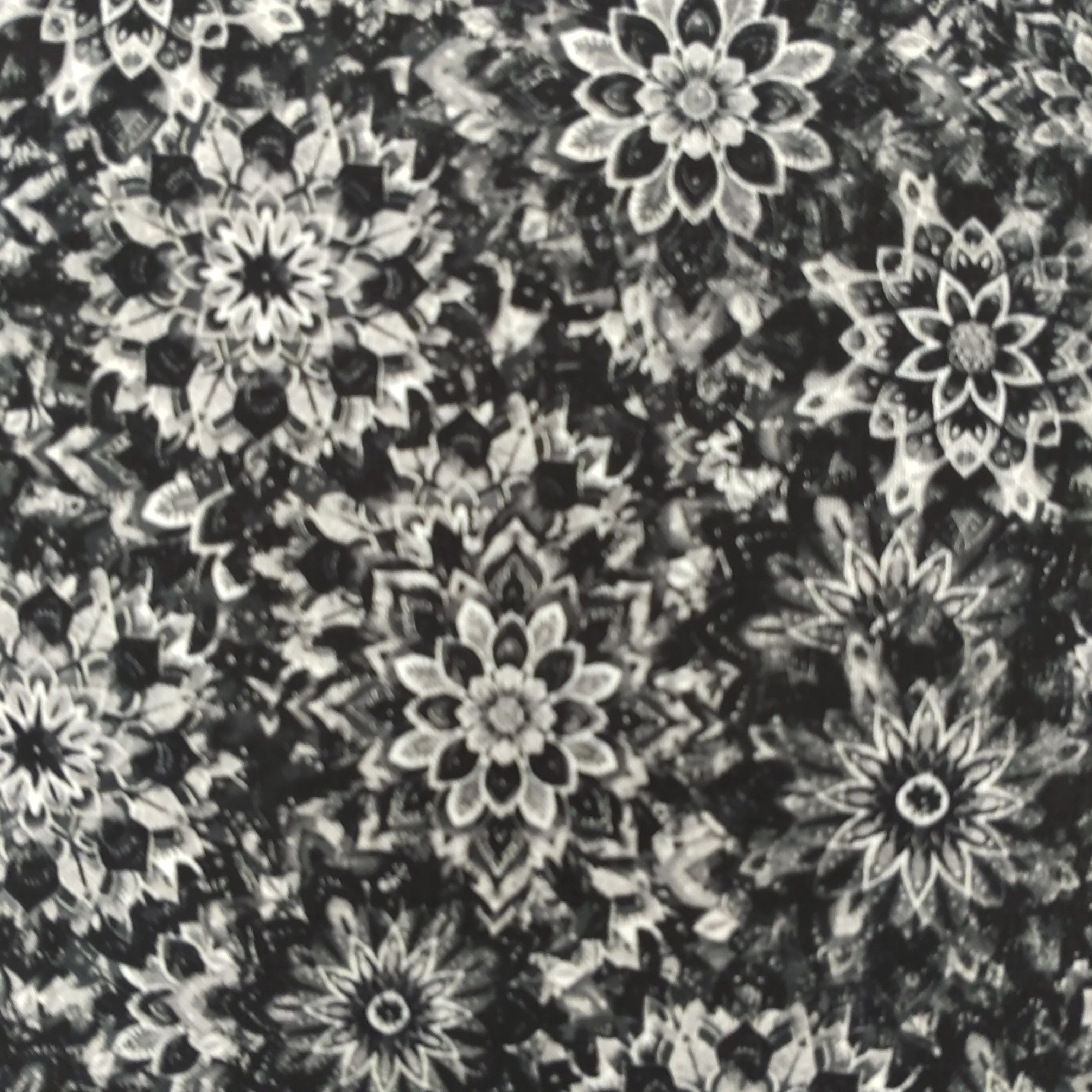 Dancing Dahlias 6 Black