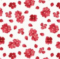 WHT BETTYS GERANIUMS PETALS 1