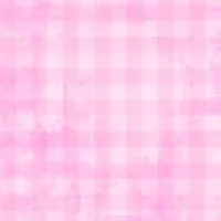 WP Dry Brush Checks Pale Pink