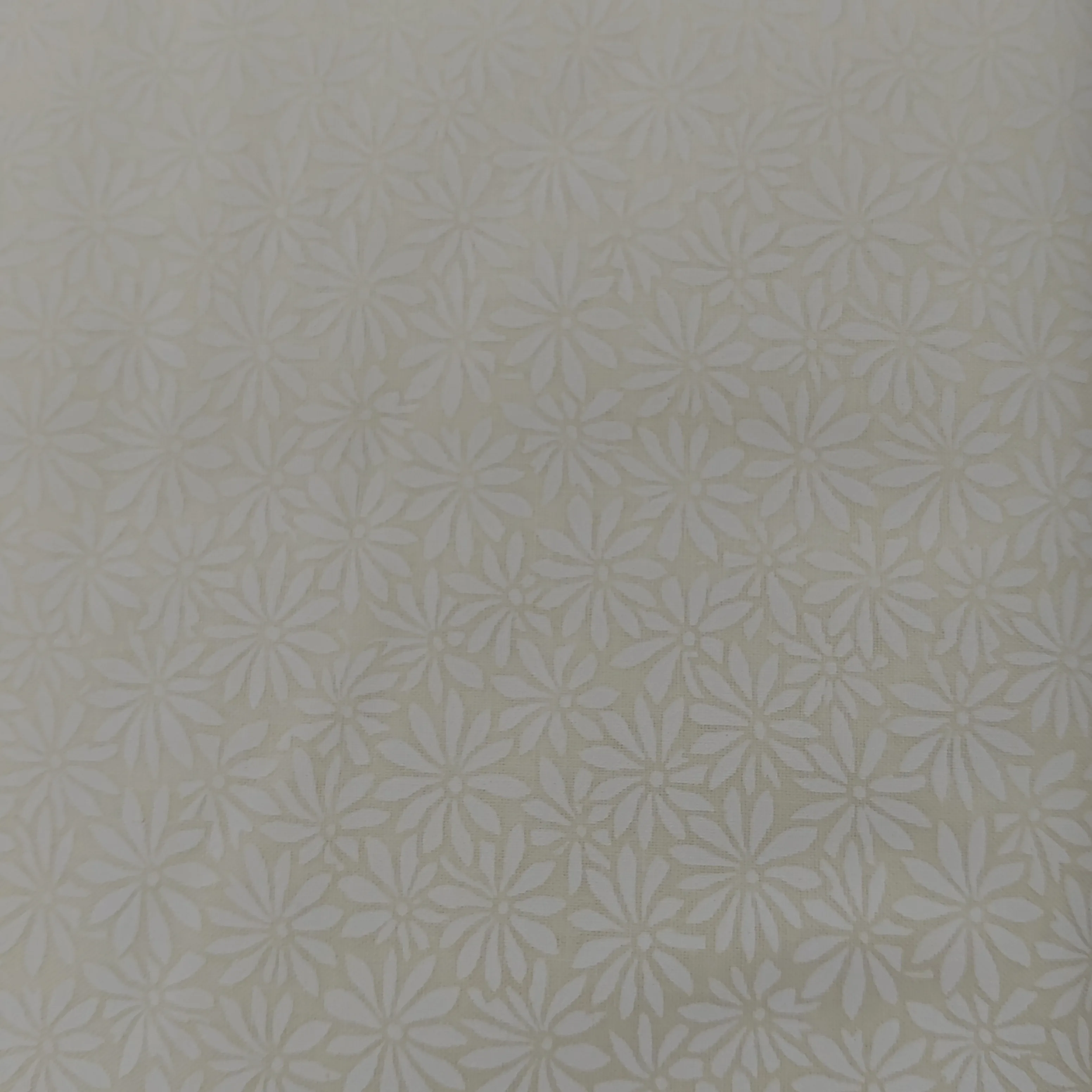 Crazy Daisy White on Natural