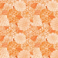 CARROT ROOVILLE BLOOMS 1