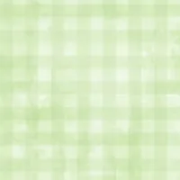 WP Dry Brush Checks Pale Lime