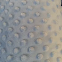 MDG Minky Dot LT Blue