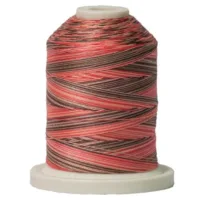 Signature 40 Canyon View Variegated Cotton Thread 700yd 40wt