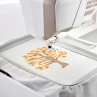 SPECIAL TECHNIQUES HOOP (DESIGNER EPIC 3)