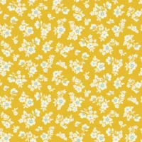 Virginia Rose Primrose Yellow