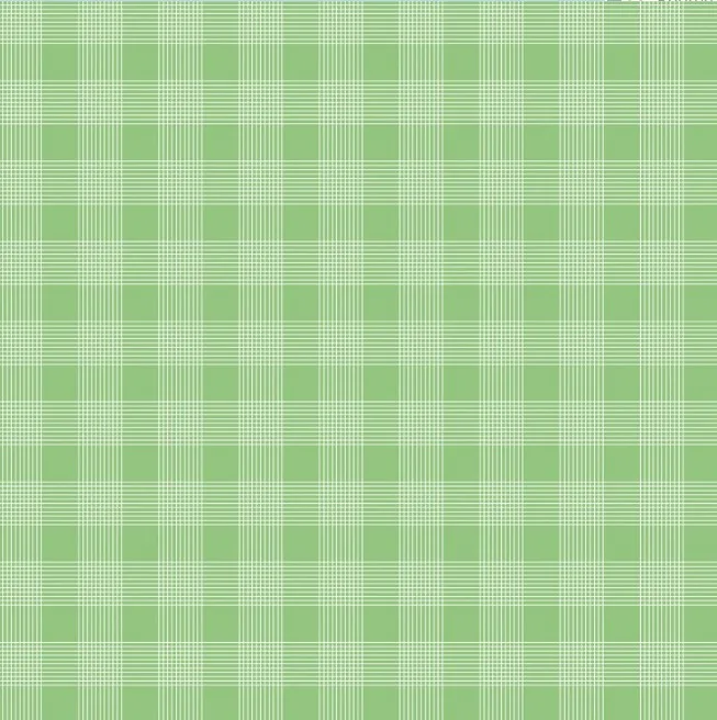 Egg Hunt Plaid Green - Riley Blake