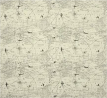 AIR TRAFFIC FELIX/NATURAL