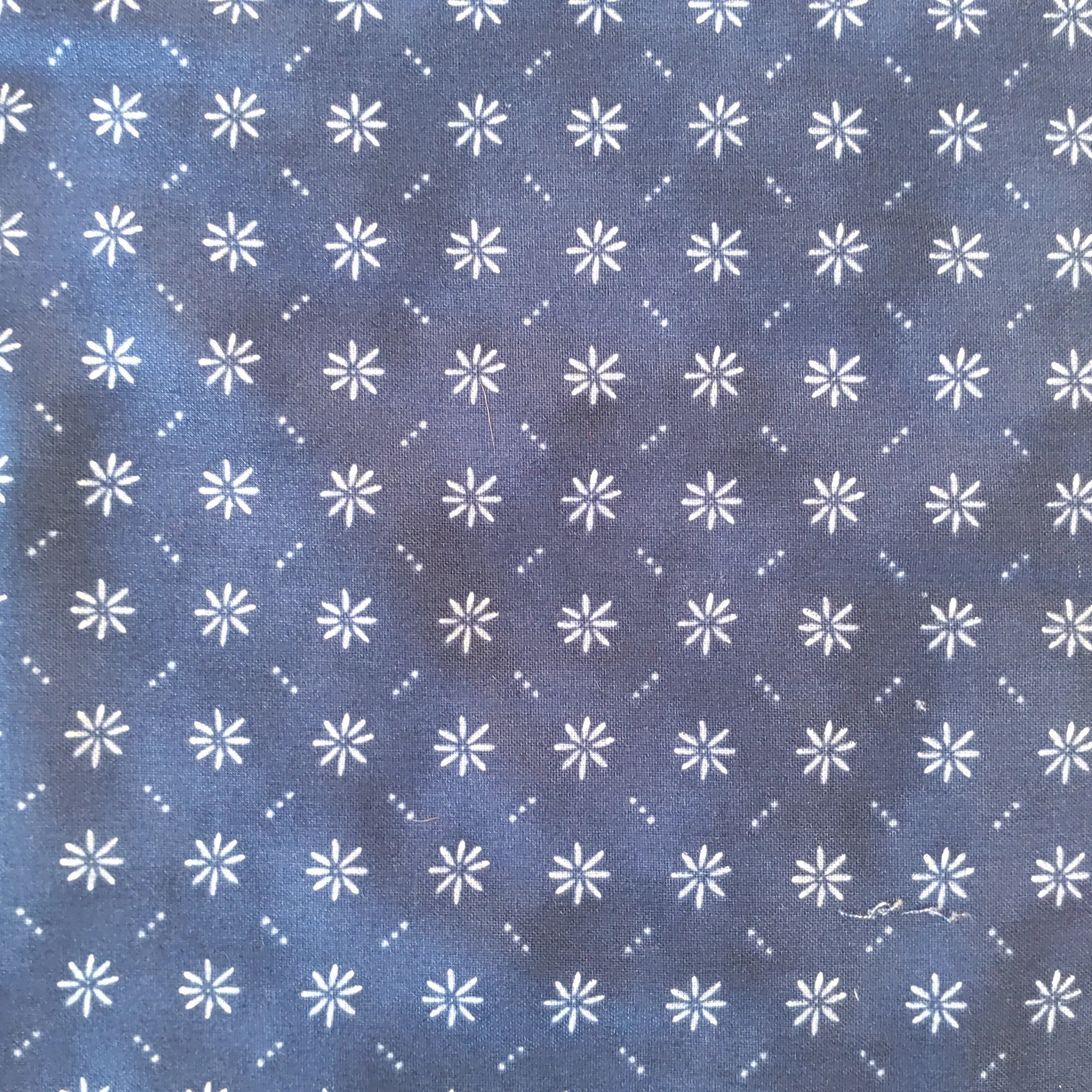 WP Dark Blue Ditsy Floral Grid