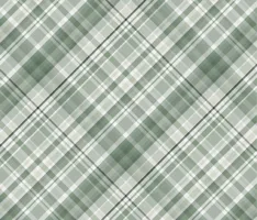 Sweet Meadow - Garden Plaid Sage