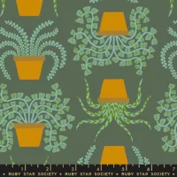 Ruby Star Calathea Seaweed RS5182 13