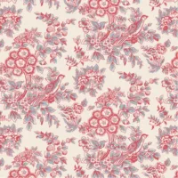 Charlotte - Jane Austen at Home