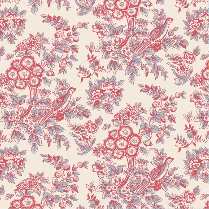 Charlotte - Jane Austen at Home