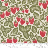 Strawberry Novelty - Garden Series - Cream