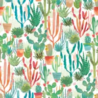 Multi Cactus - Desert Dreams