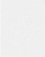 Sparkles - White on White - Wilmington Prints Copy