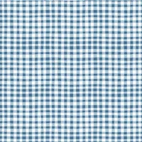 Gingham Blue - Firework Fields - Riley Blake