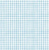 Gingham Light Blue - Firework Fields - Riley Blake