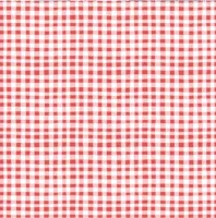 Gingham Red - Firework Fields - Riley Blake