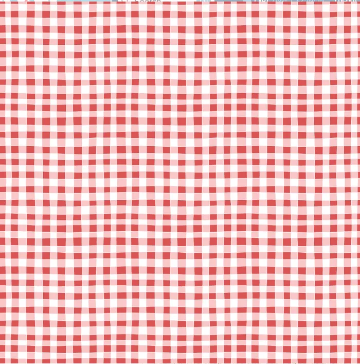 Gingham Red - Firework Fields - Riley Blake