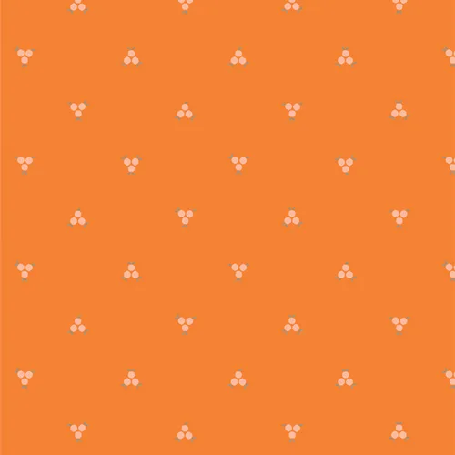 AGF Sweet Tangerines