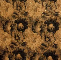 18"X15" Cork Fabric - Black Poppy Flower Print