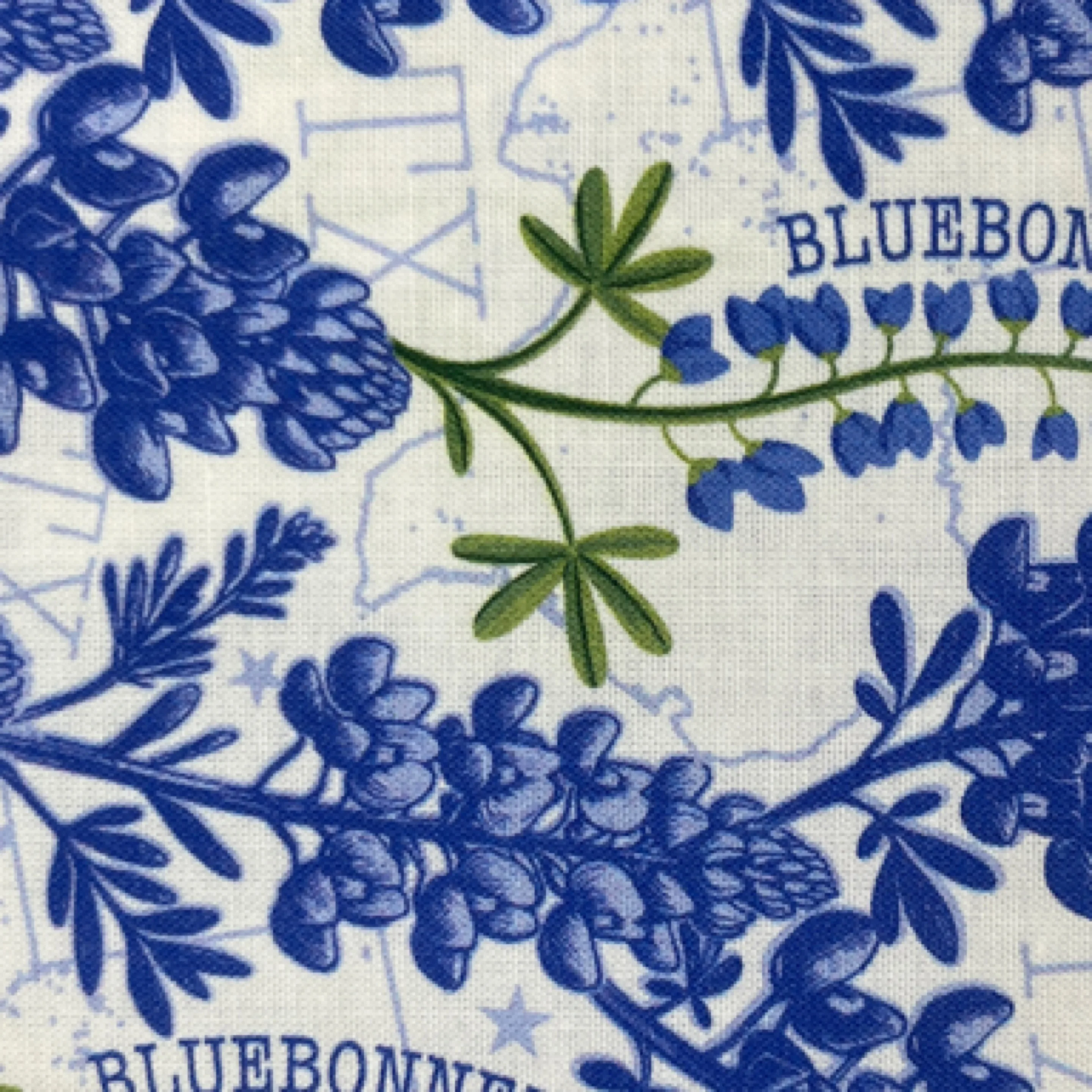 108x108 bluebonnet quilt back