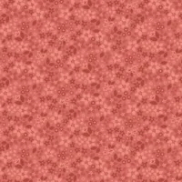 Star Flowers Spiced Cider - Holly & Hearth - Benartex