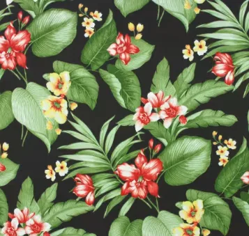 Davilla Noir Solarium Outdoor Prints