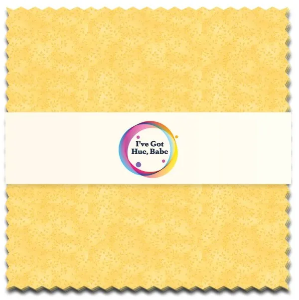 Studio E Sunny Side Up 5x5 Squares I've Got Hue, Babe