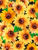 Large Packed Sunflowers - Black - Sunshine Whispers - Wilmington Prints